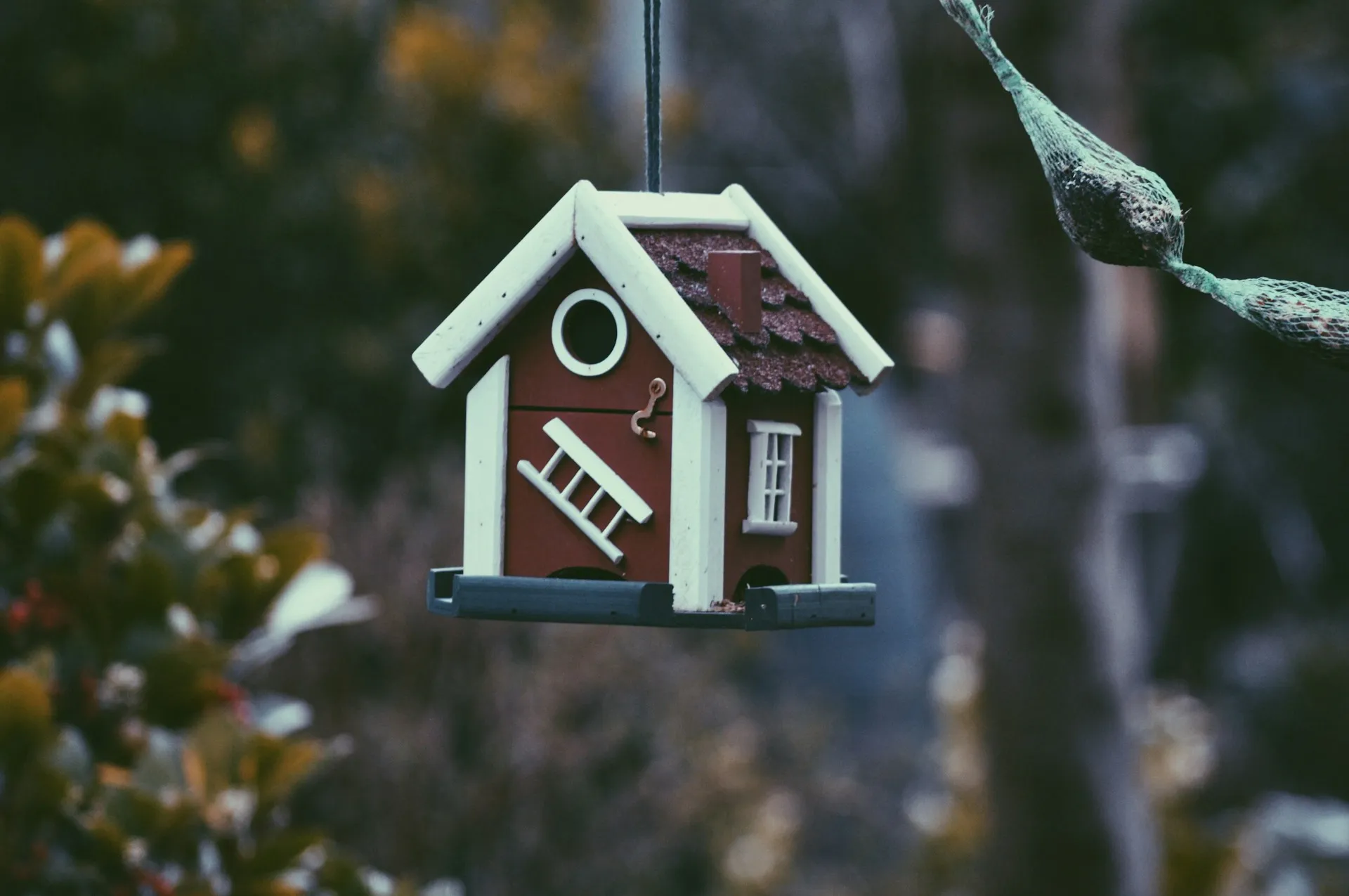 harper-van-mourik-0yfWDwHOB0g-unsplash
