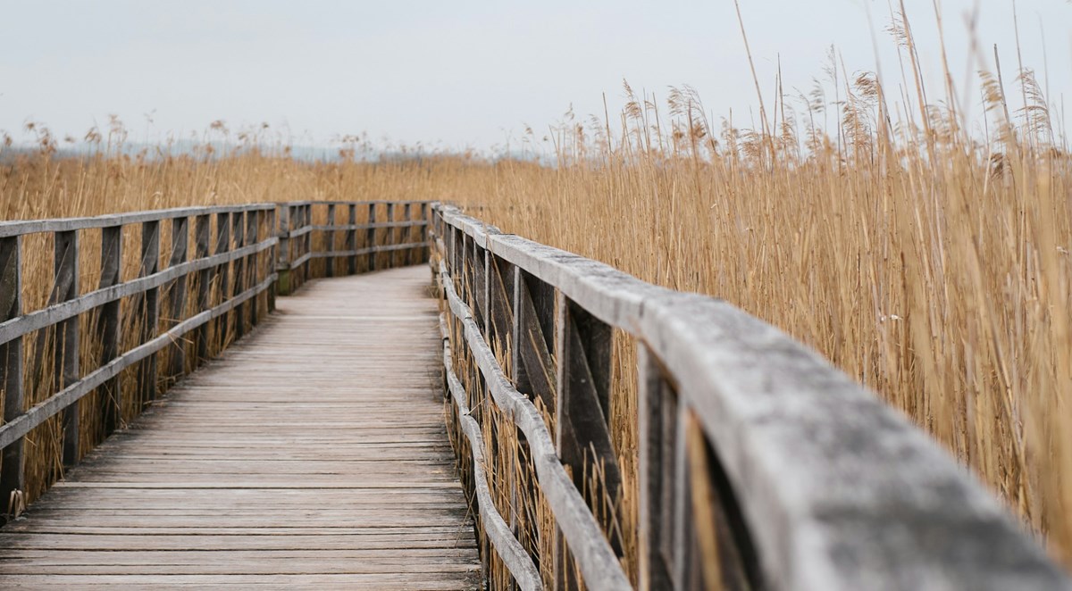 tim-schmidbauer-aGs0cIlwjzs-unsplash