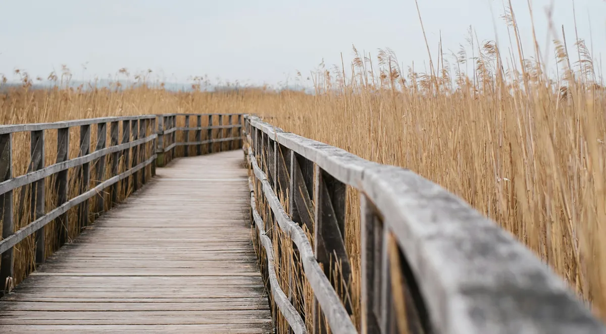 tim-schmidbauer-aGs0cIlwjzs-unsplash