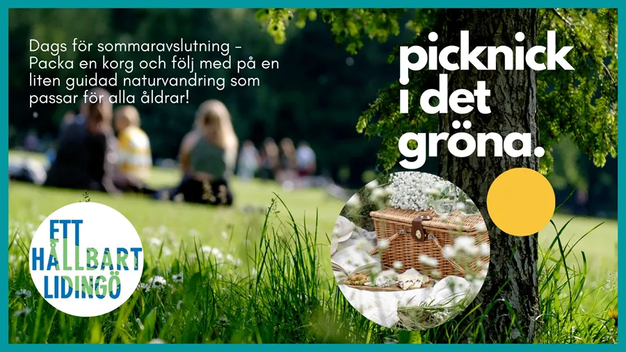 Naturvandring 2024-06-03